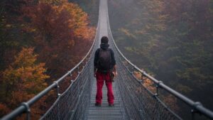 Instituto Saulo de Paula - A Trilha - A Ponte Invisível
