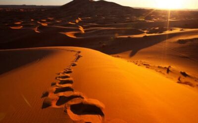 A Trilha – O Deserto é Lugar de Busca
