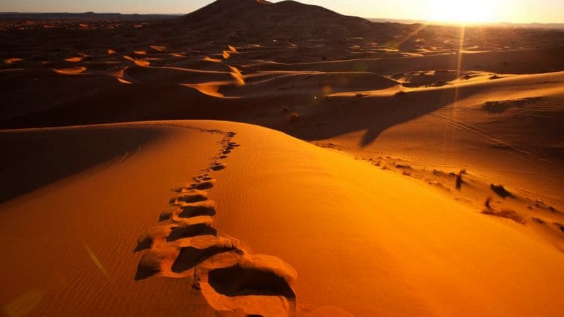 A Trilha – O Deserto é Lugar de Busca
