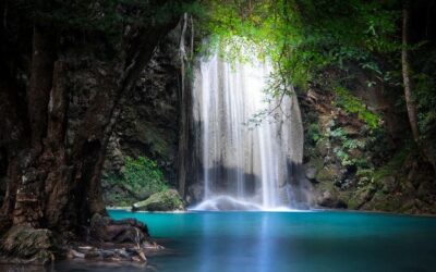 A Trilha – O Paraíso