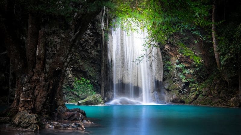 A Trilha – O Paraíso